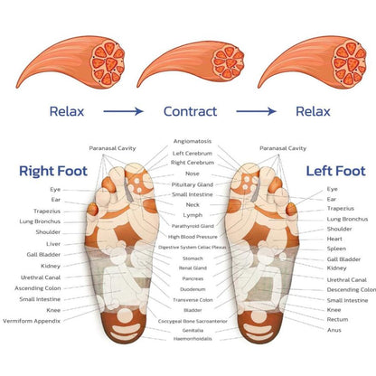 SoleSoothe™ - EMS regenererende fodmassager